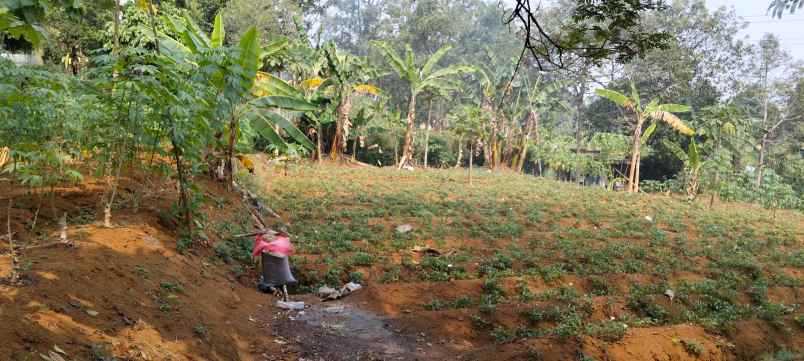 tanah kavling di megamendung puncak 1 065 m 3 453 m