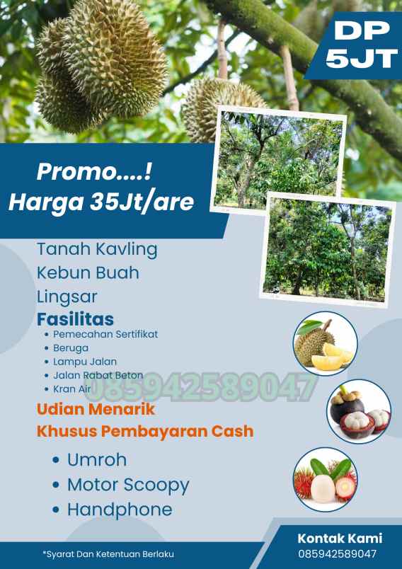 tanah kavling murah kebun buah