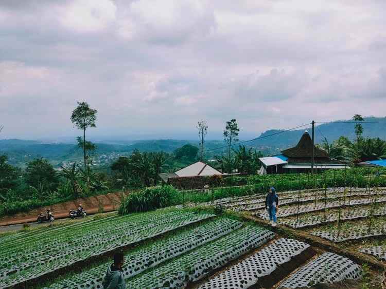 tanah kawasan wisata alam
