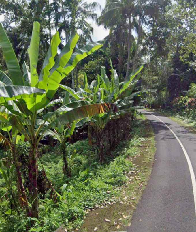 tanah kebun view gunung dan lembah dekat bali eco stay