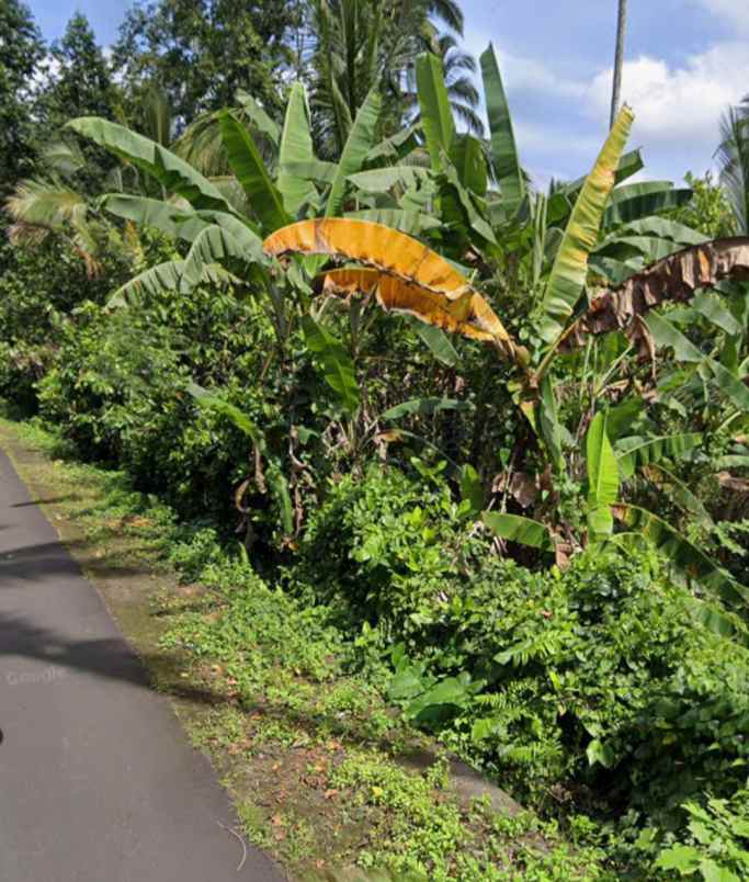 tanah kebun view gunung dan lembah dekat bali eco stay