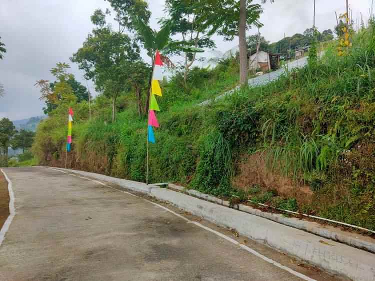 tanah kemuning ngargoyoso