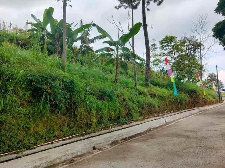 tanah kemuning ngargoyoso