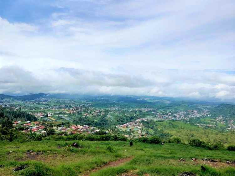 tanah kemuning ngargoyoso