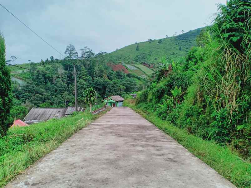 Tanah Cocok Dibangun Villa Jl Raya Kemuning Ngargoyoso Karanganyar