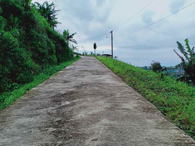 tanah kemuning ngargoyoso