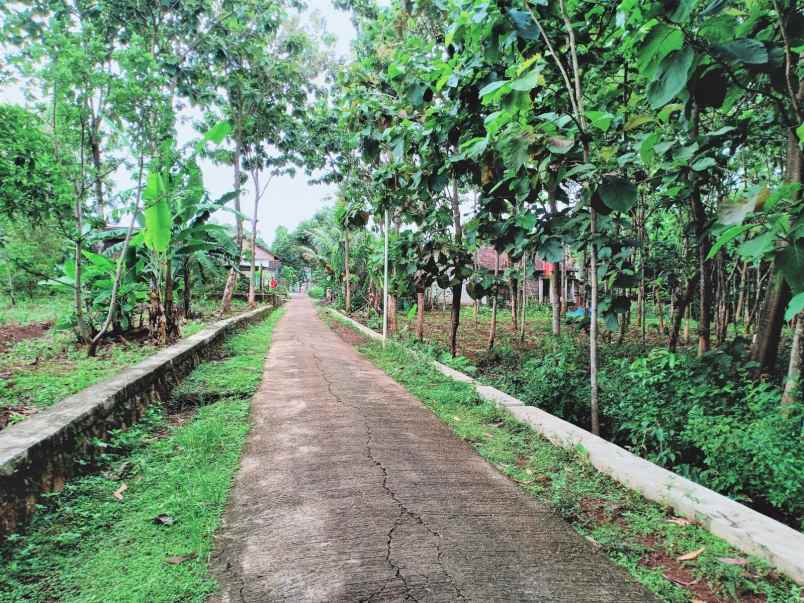 tanah kerjo karanganyar