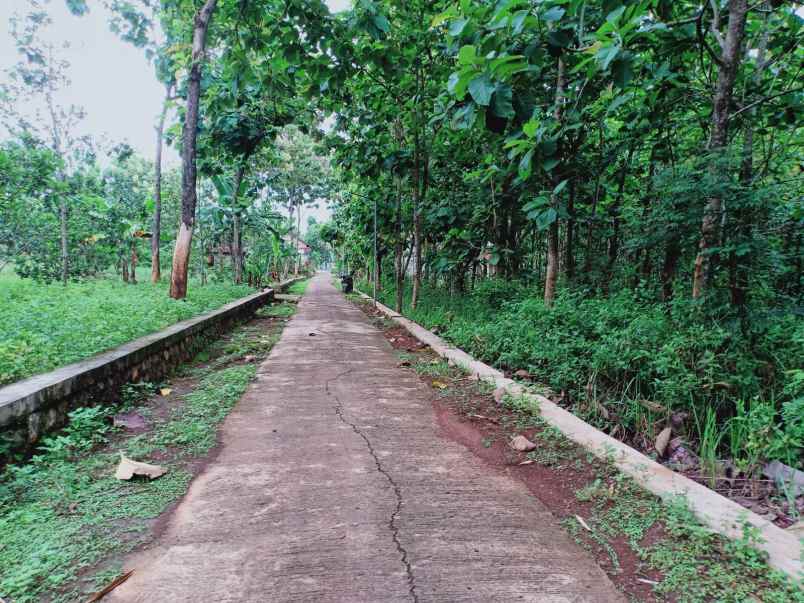 tanah kerjo karanganyar