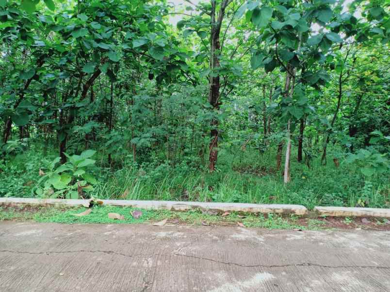 tanah kerjo karanganyar