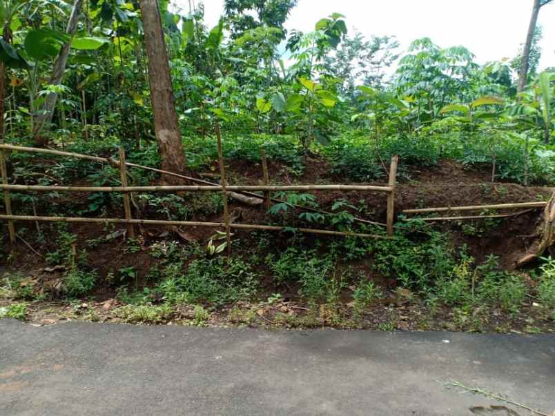 tanah kerjo karanganyar jawa