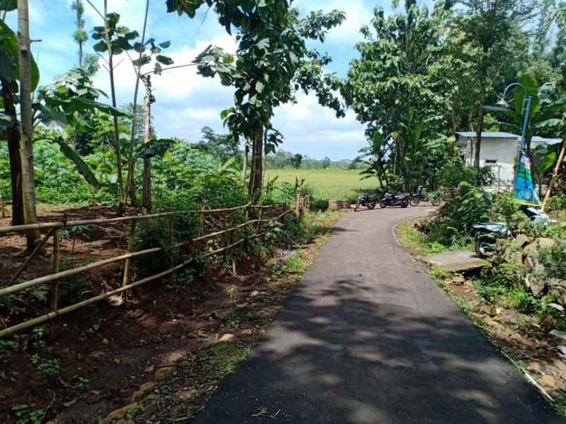 tanah kerjo karanganyar jawa