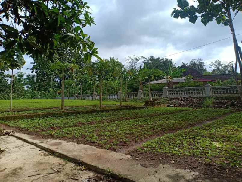 tanah kerjo karanganyar telp wa