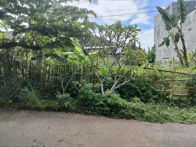 tanah luas puri budi asri cihanjuang