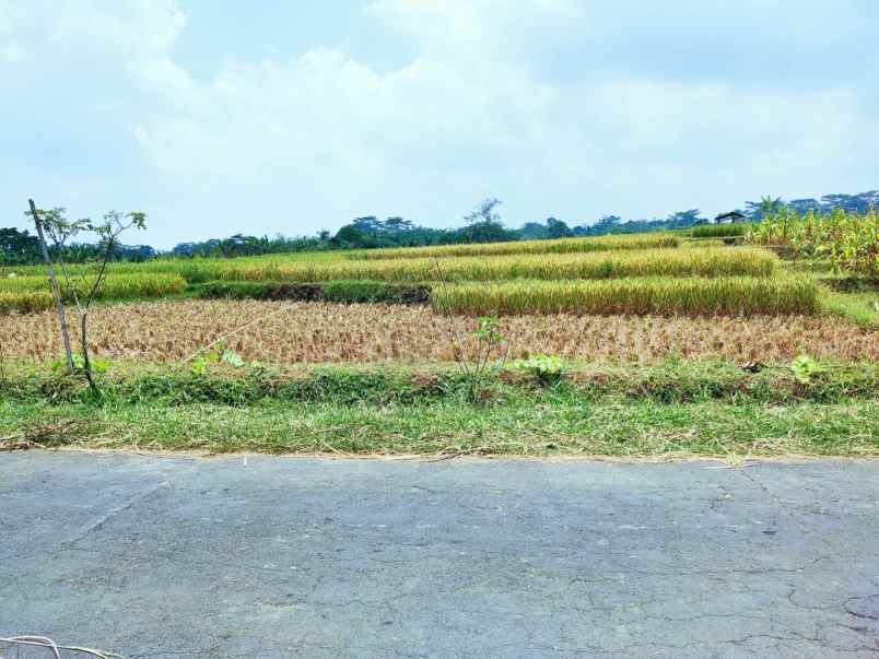 tanah mojogedang karanganyar