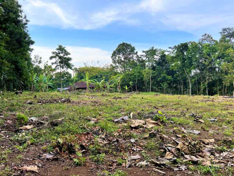 tanah mojogedang karanganyar jateng