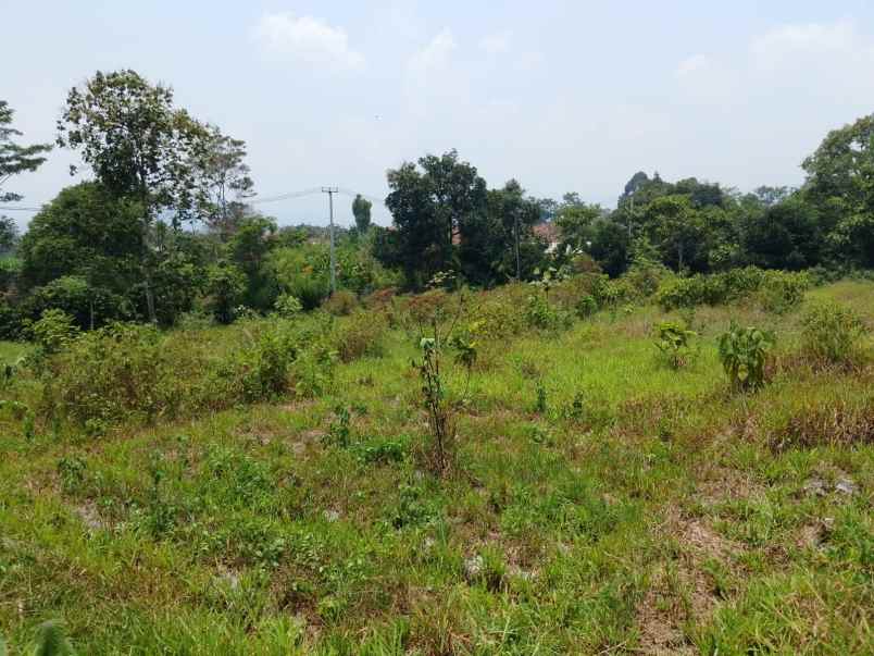 tanah murah ciater subang