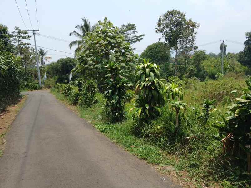 tanah murah ciater subang