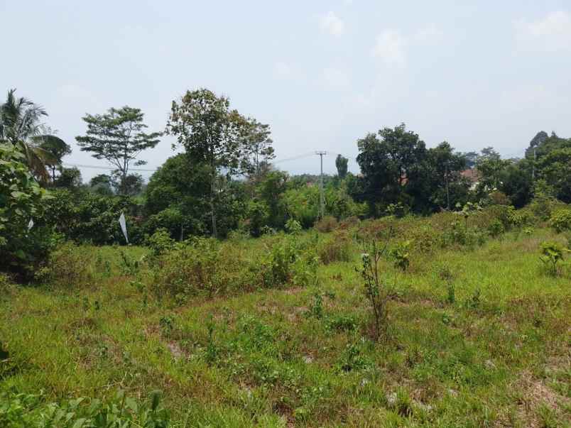 tanah murah ciater subang