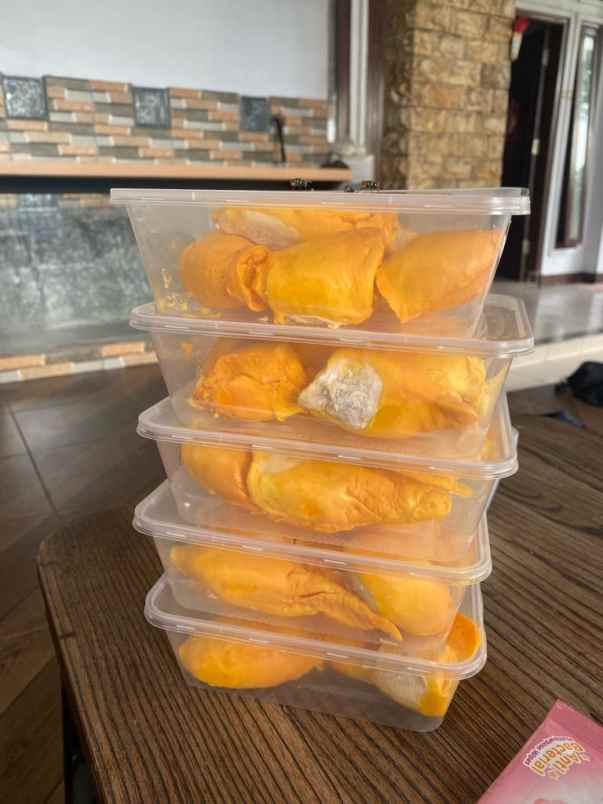 tanah murah kebun durian buah cigudeg bogor