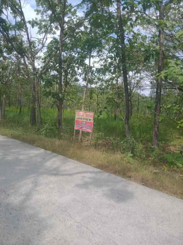 tanah murah multifungsi untuk usaha