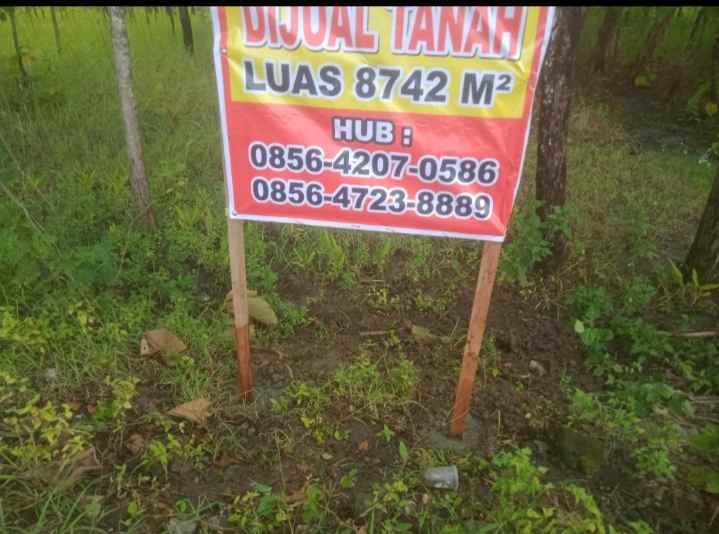 tanah murah sangat cocok untuk gudang atau peternakan