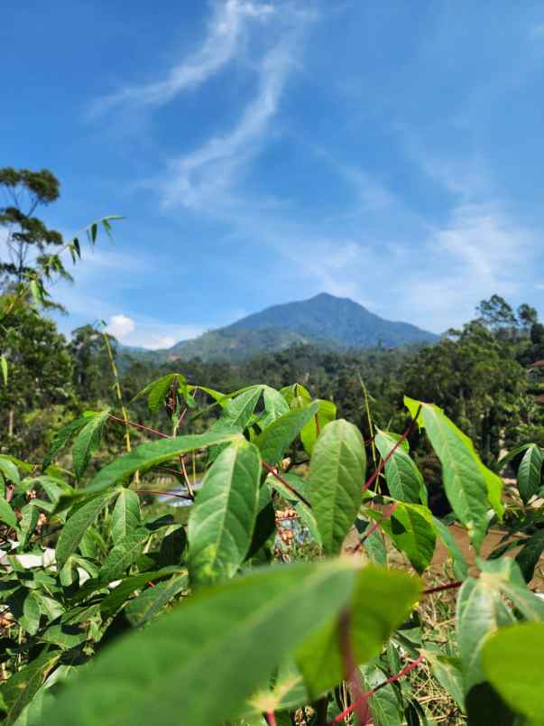 tanah murah view indah buat villa