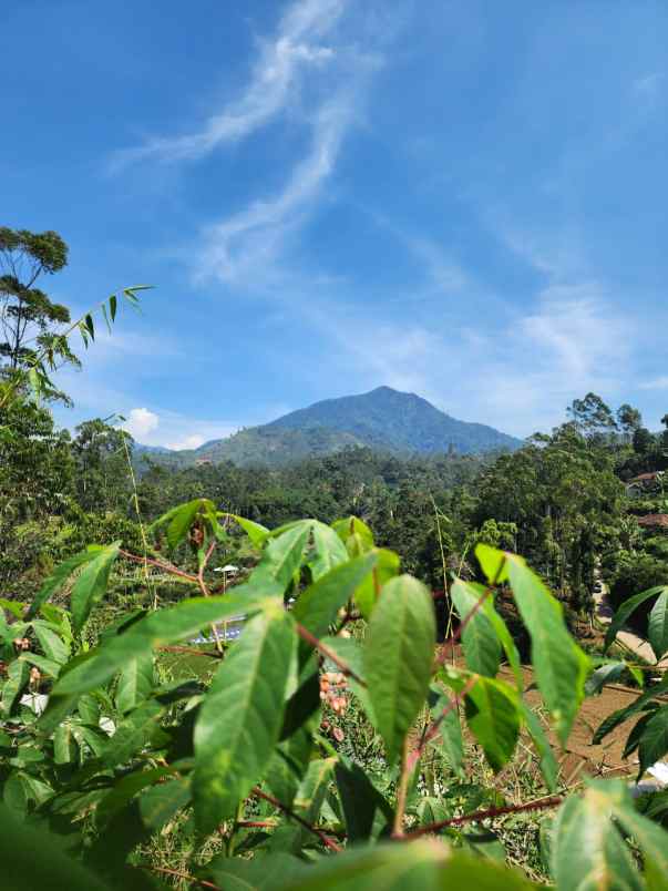 tanah murah view indah buat villa