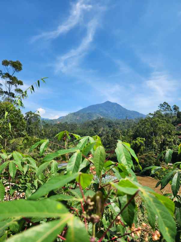tanah murah view indah buat villa
