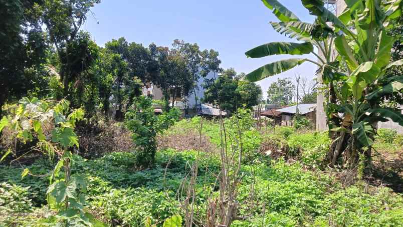 tanah ngatong bulusan tembalang ring 1 undip