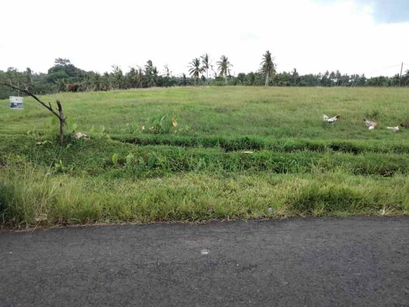 tanah selemadeg tabanan bali