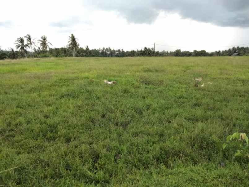 tanah selemadeg tabanan bali