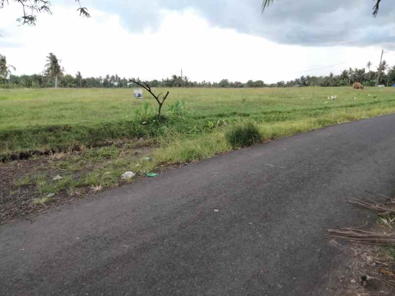 tanah selemadeg tabanan bali