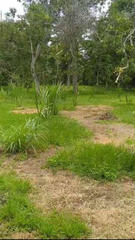 tanah strategis di jalan bandara sim