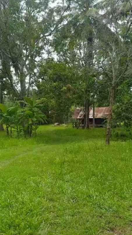 tanah strategis di jalan bandara sim