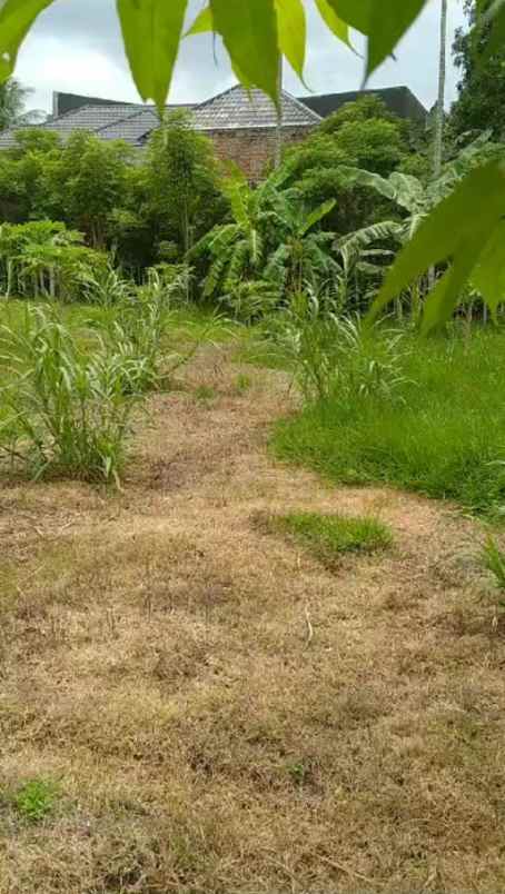 tanah strategis di jalan bandara sim