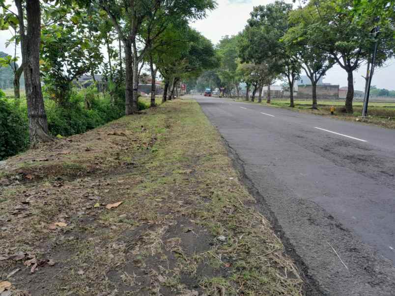 tanah tepi jl raya karanganyar strategis buka usaha