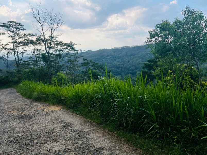 tanah view cantik 2000m 200jt jenawi karanganyar