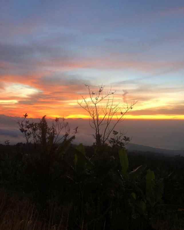 tanah view laut dekat munduk dan wanagiri bali