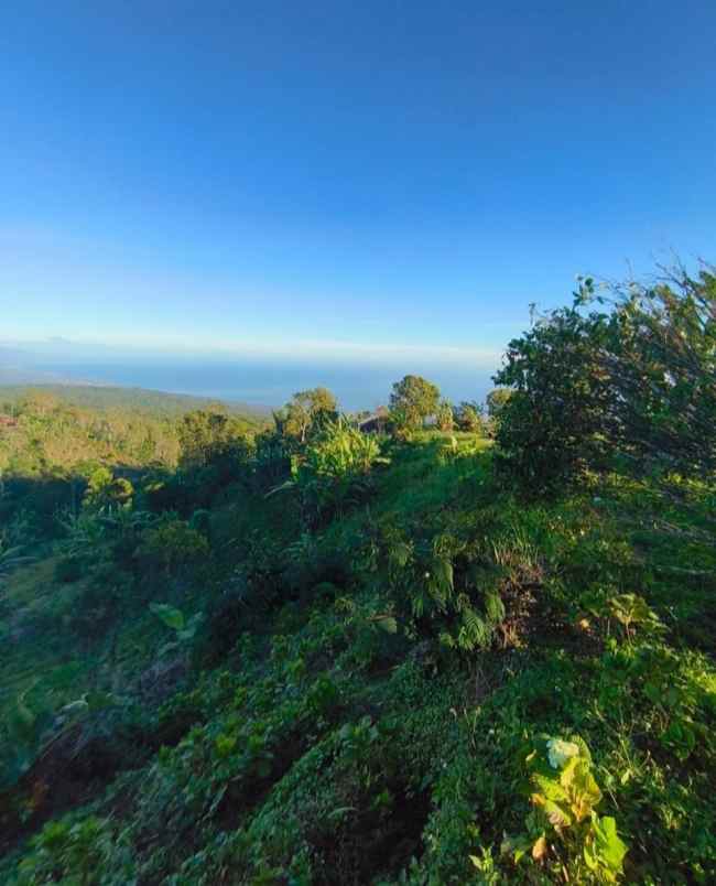 tanah view laut dekat munduk dan wanagiri bali