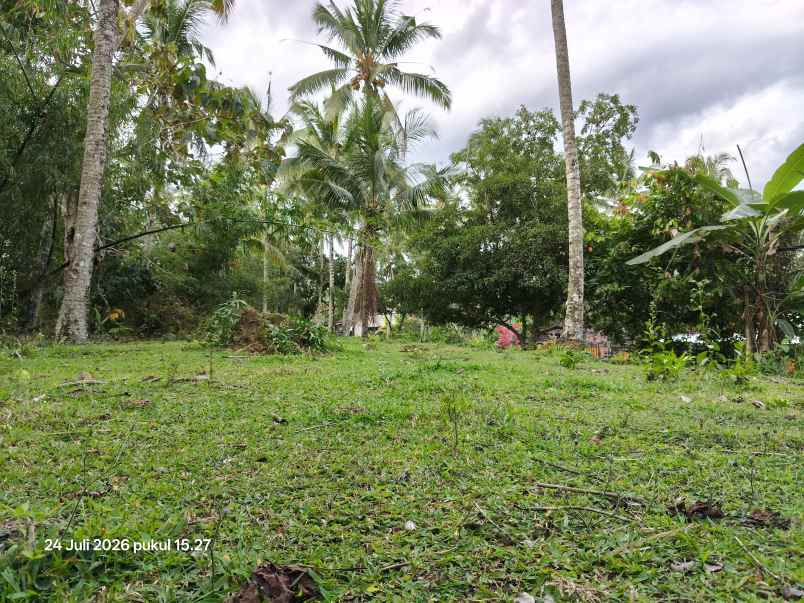 tanah zona kuning view sungai kecil di selemadeg bali