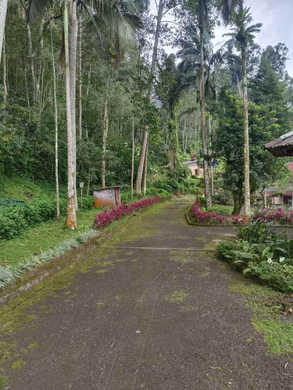 villa puncak dijual dekat istana negara cipanas