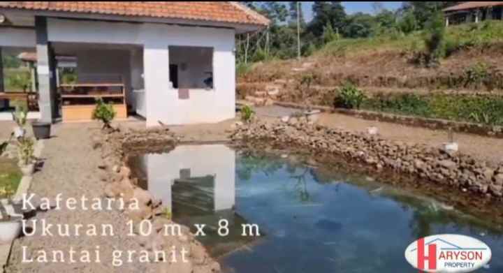 dijual kandang sapi 6 hektar di subang jabar