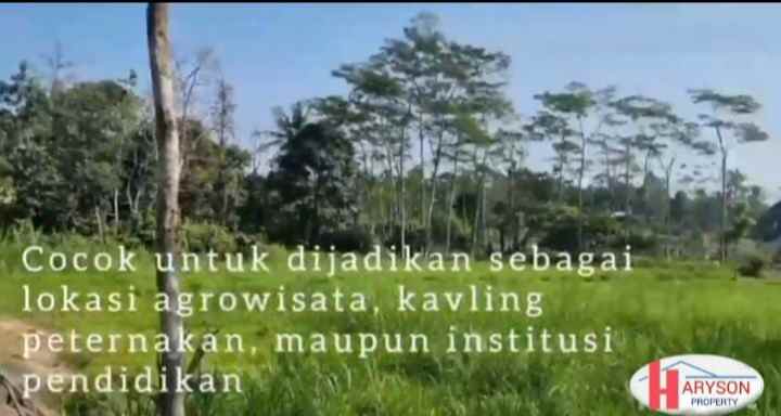 dijual kandang sapi 6 hektar di subang jabar