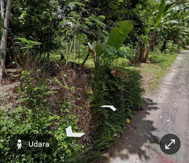 dijual pekarangan kanoman karangnongko