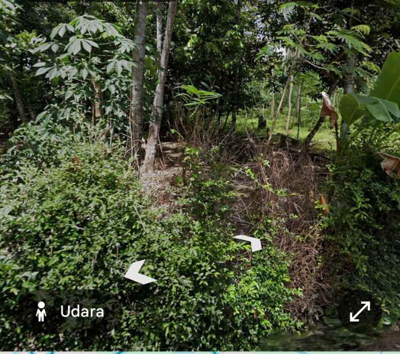 dijual pekarangan kanoman karangnongko