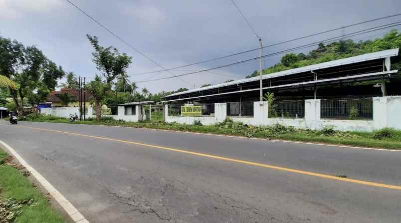 dijual ruko gudang kantor ji raya seririt gilimanuk