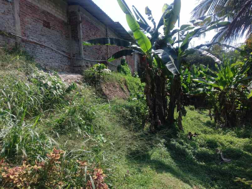 dijual ruko gudang kantor nangkasari 2