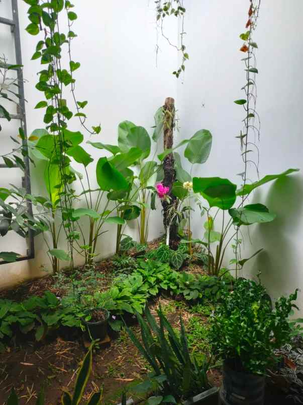 dijual rumah cluster my home arcamanik