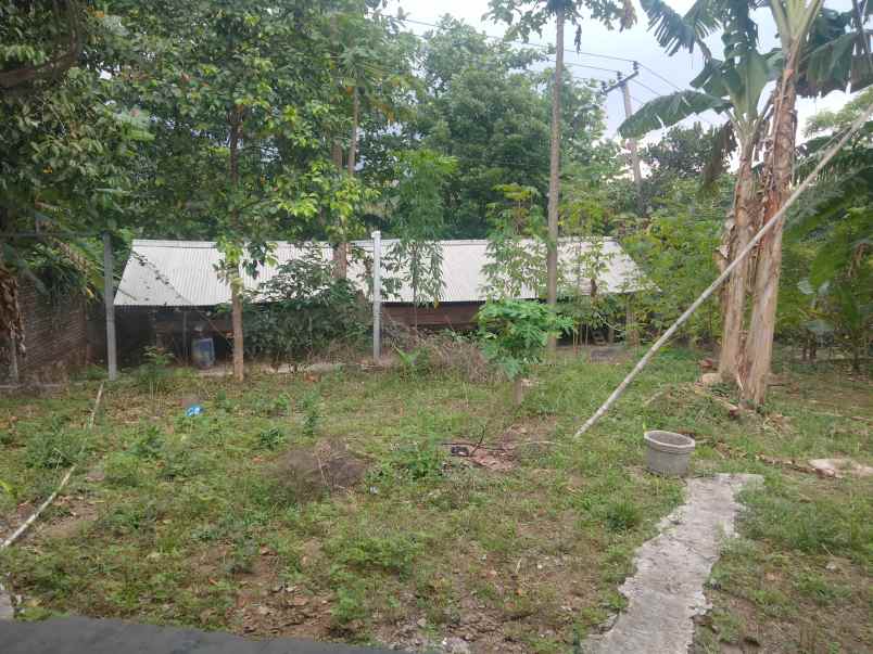dijual rumah dgn halaman depan dan belakang luas
