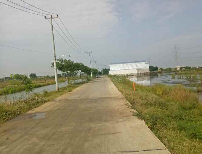 dijual tanah 65 hektar babelan bekasi